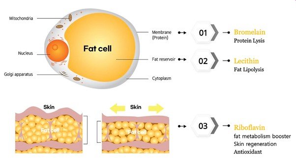 How Lemon Bottle Works